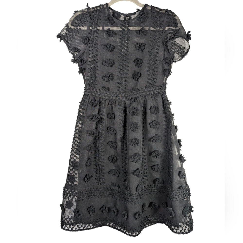 Anthropologie Sunday in Brooklyn Black Sheer Mesh Floral Appliqué Mini Dress 0 - Picture 3 of 15